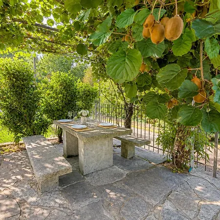 Dei Mumi Luino